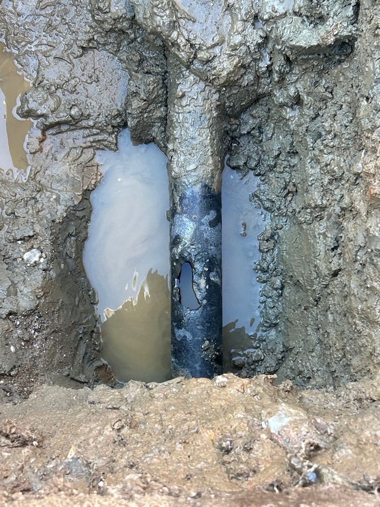 Why Crack Repair in Crack Repair Can’t Wait: Protecting Your Property Before It’s Too Late