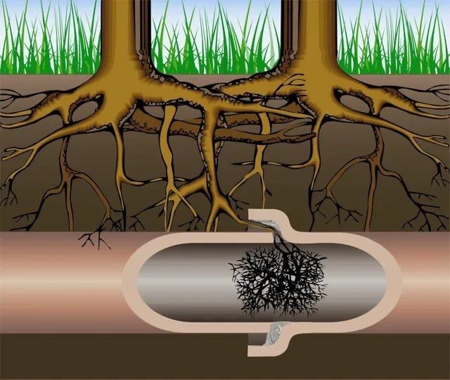 Why Basement Waterproofing in Basement waterproofing Isn’t Just a Luxury—It’s Essential