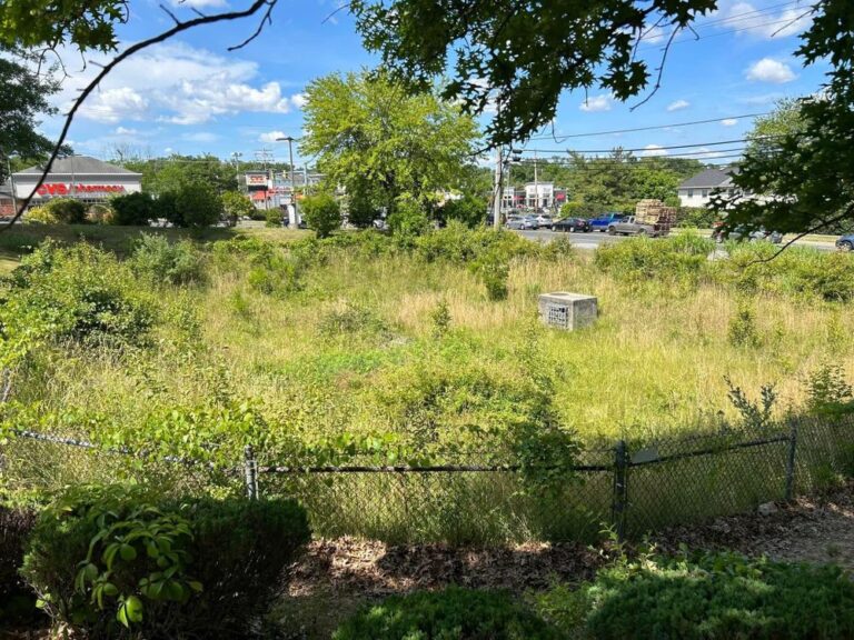 Stormwater System Failures: Why Blocked Drain Problems Are More Urgent in Blocked Drain Than You Think